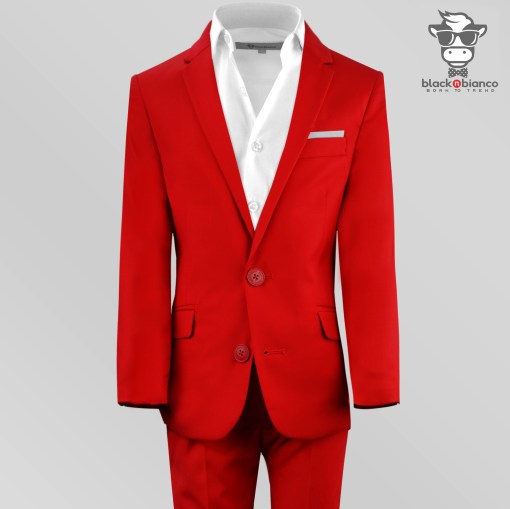 Boys red suit, Boys Suits, Boys Slim Fit Red Suit